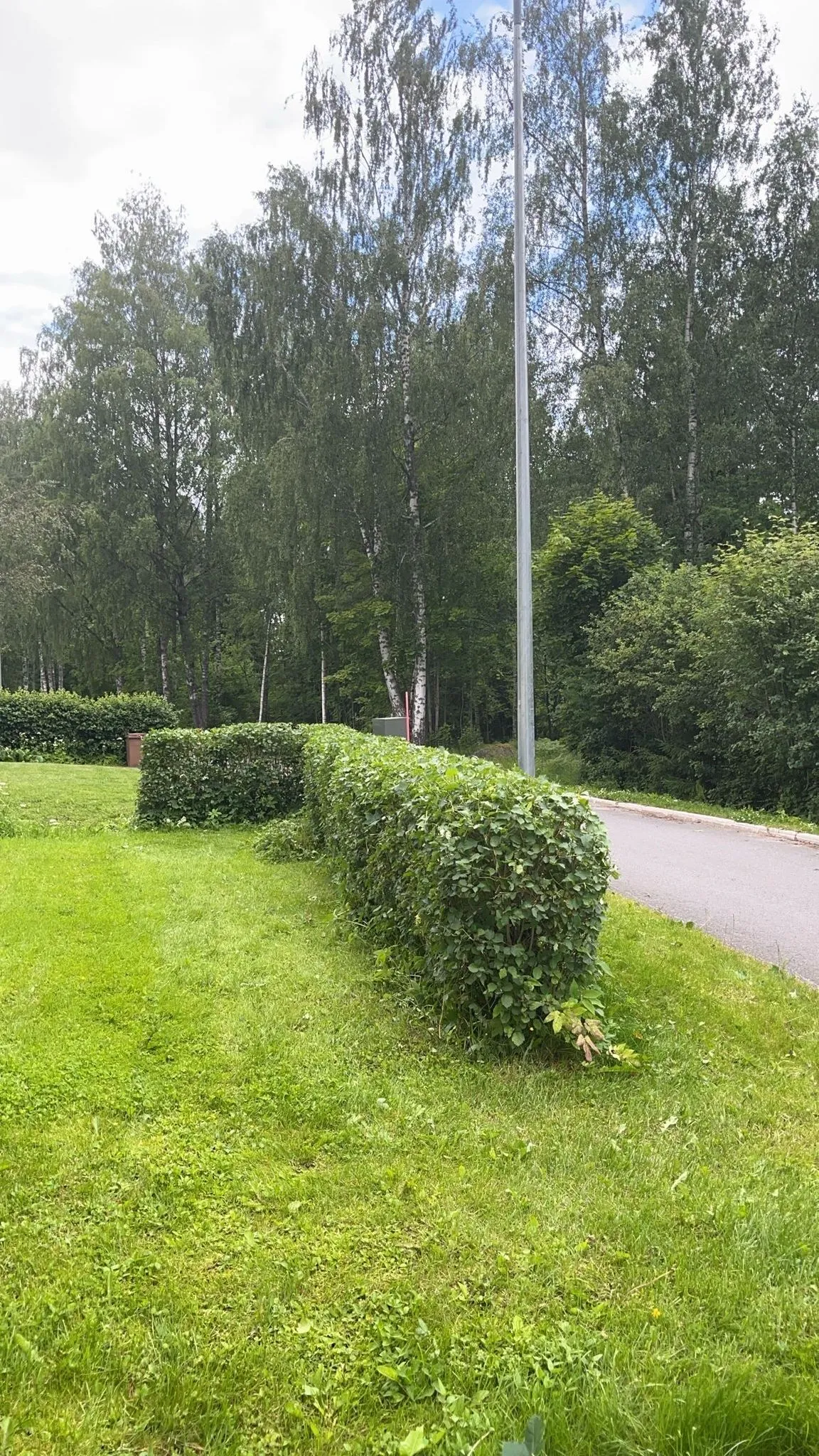 Pensasaita